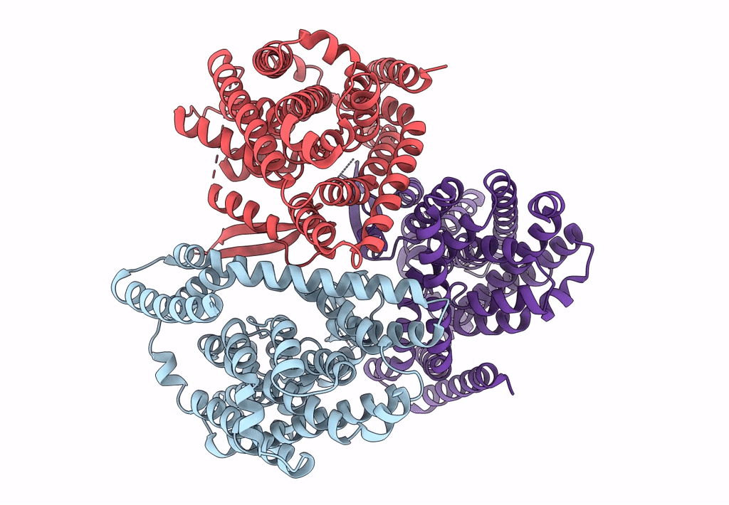 8CUI image