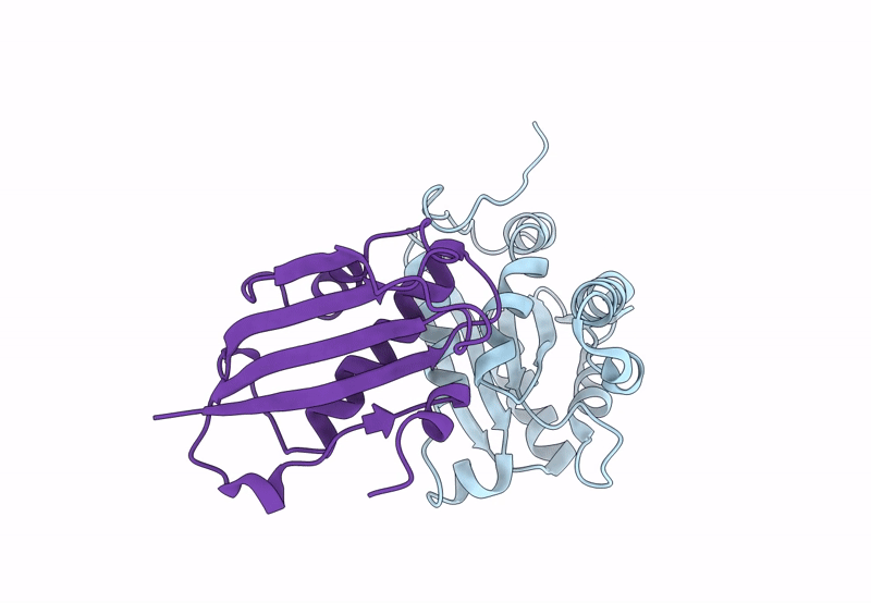 8CUV image