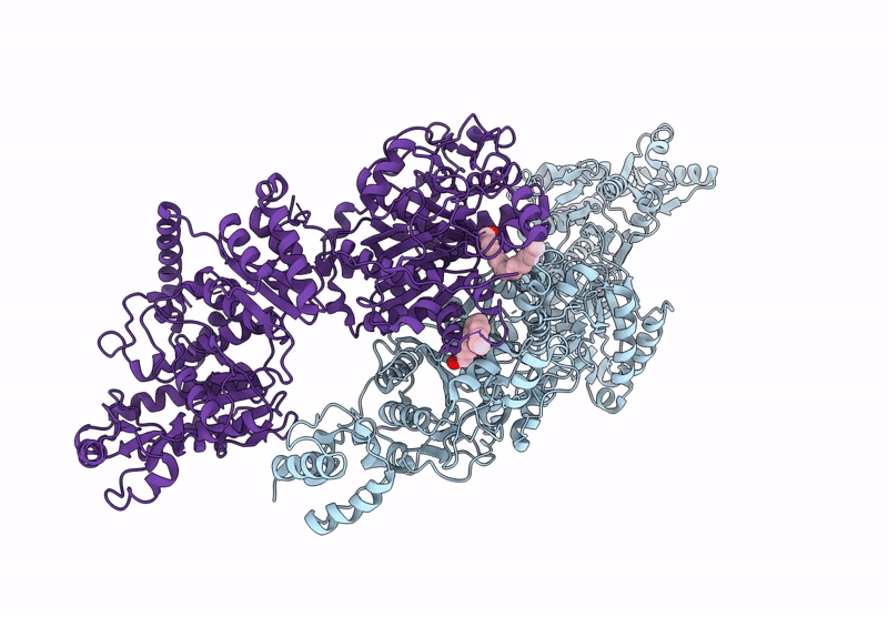 8CV1 image