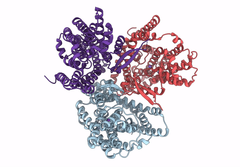 8CV2 image