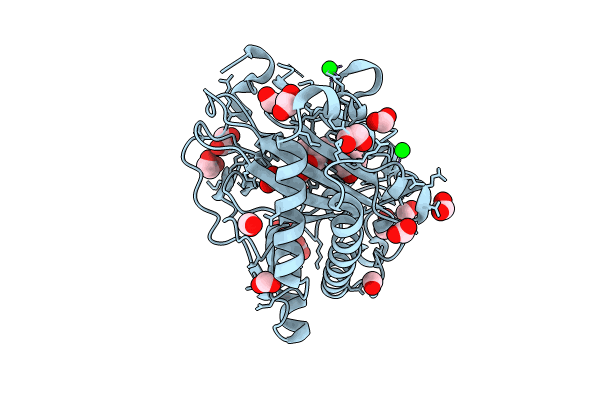 8CVG image
