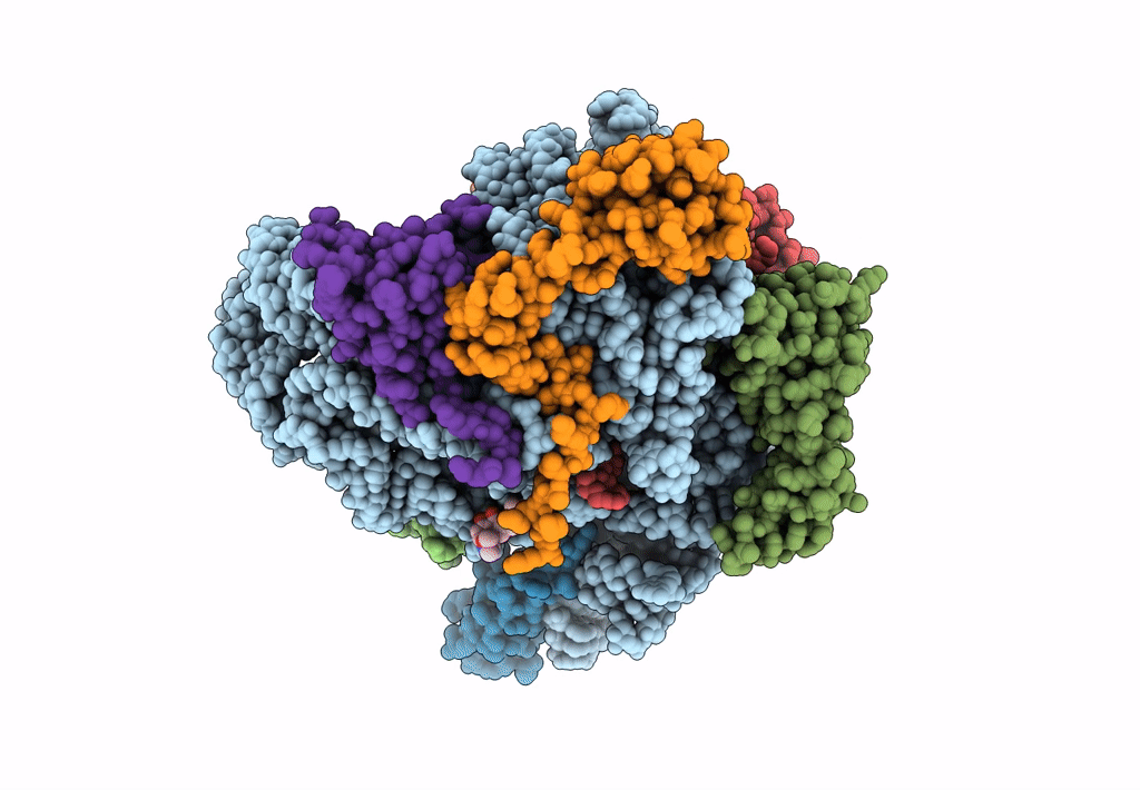 8CVO image