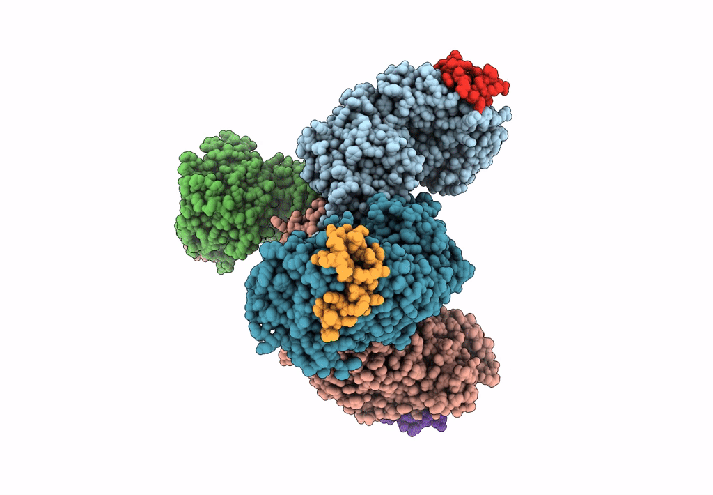 8CVX image