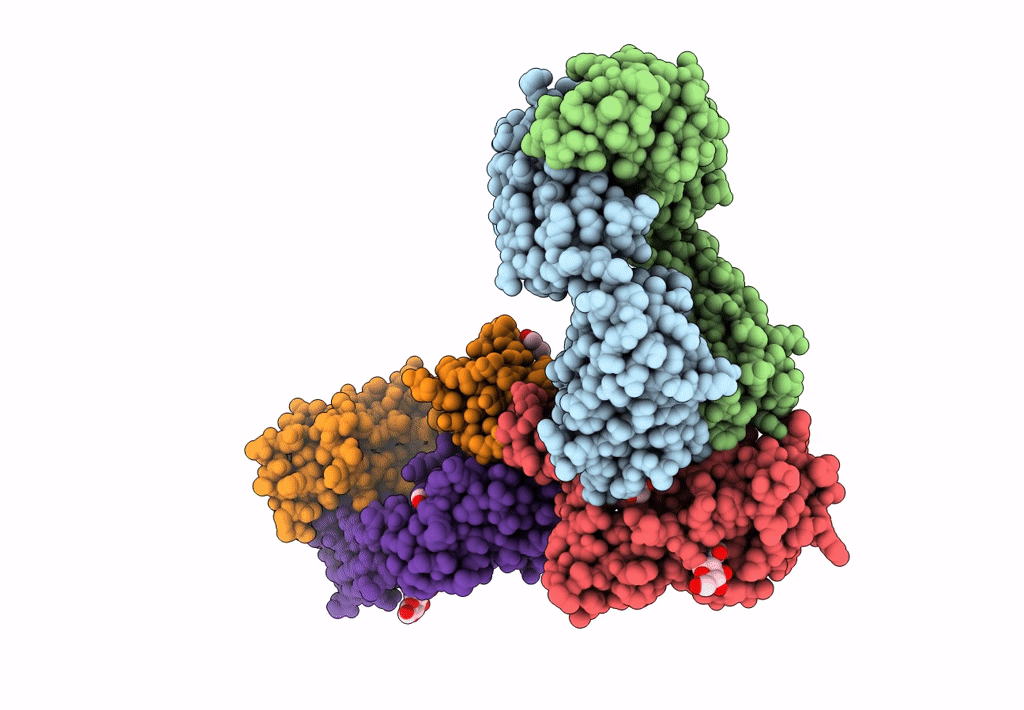 8CWK image