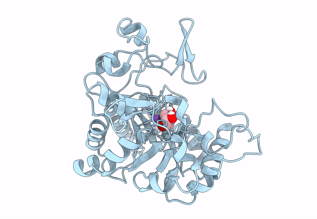 8CWP image