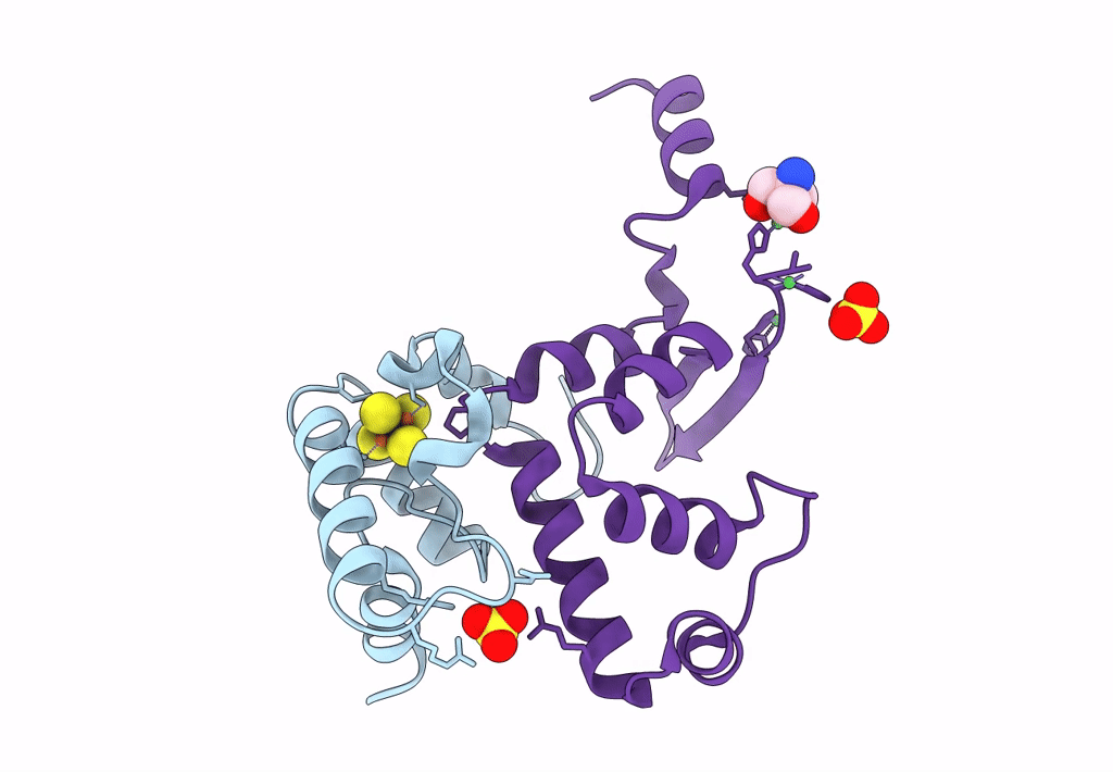 8CWR image