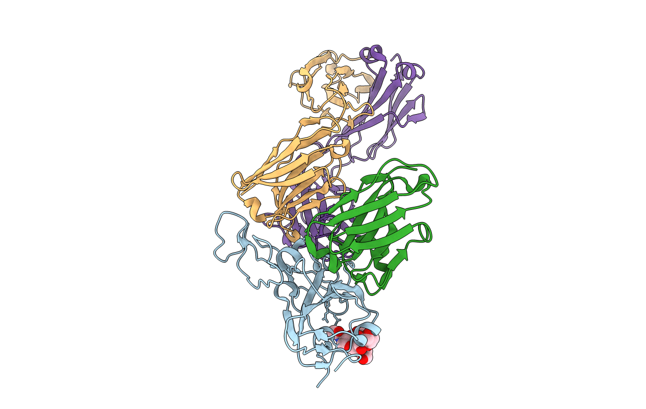 8CWV image