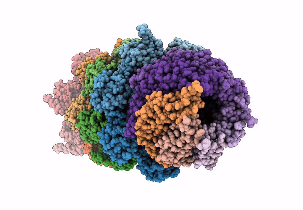 8CXB image