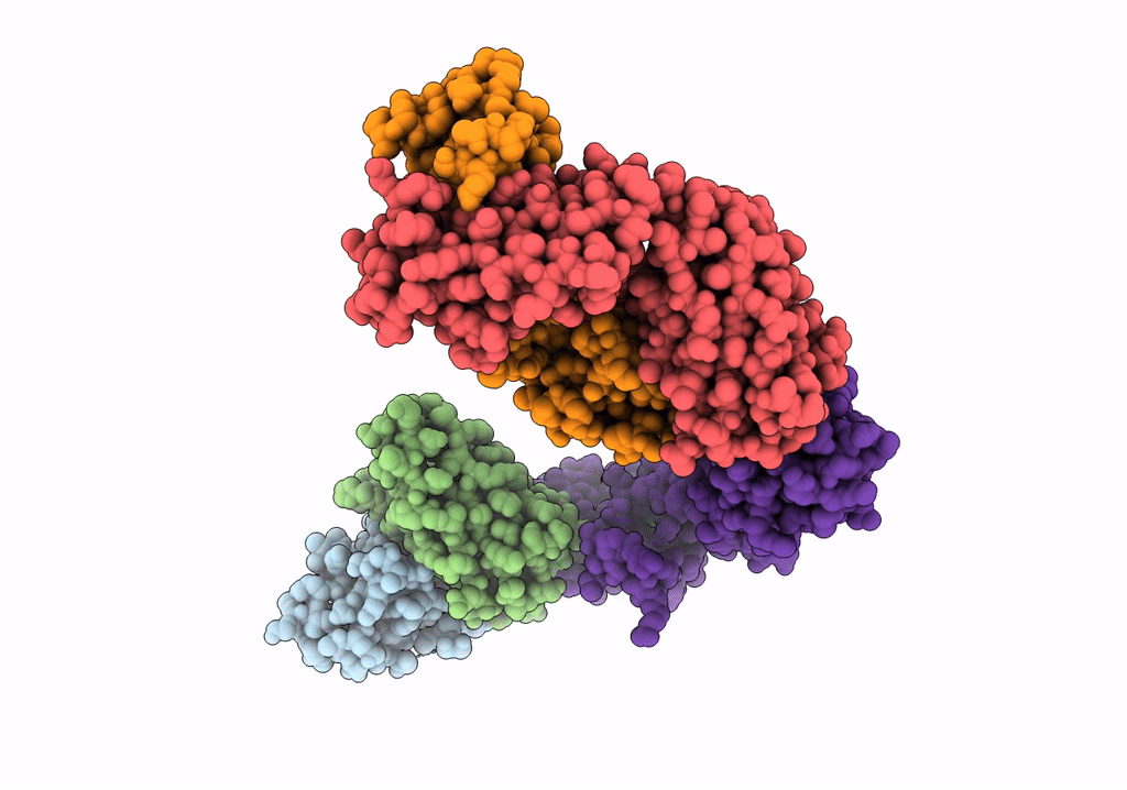 8CXC image