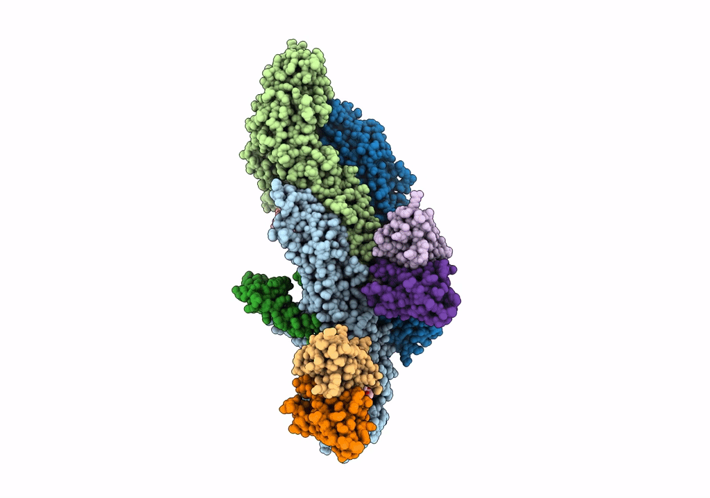 8CXI image