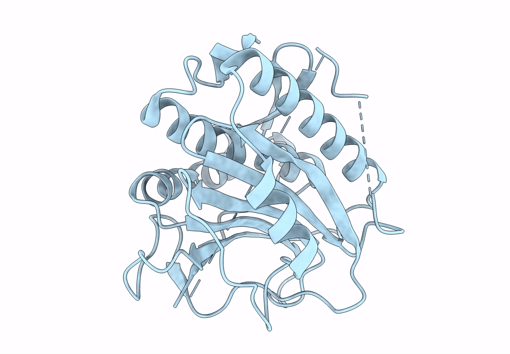 8CXK image