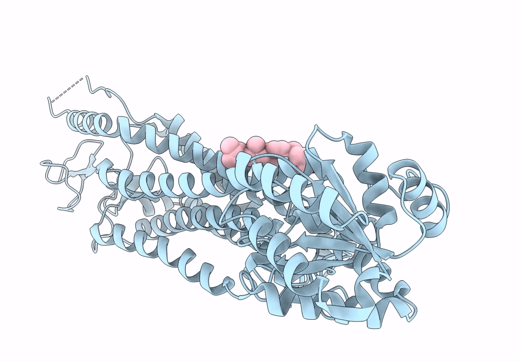 8CXO image