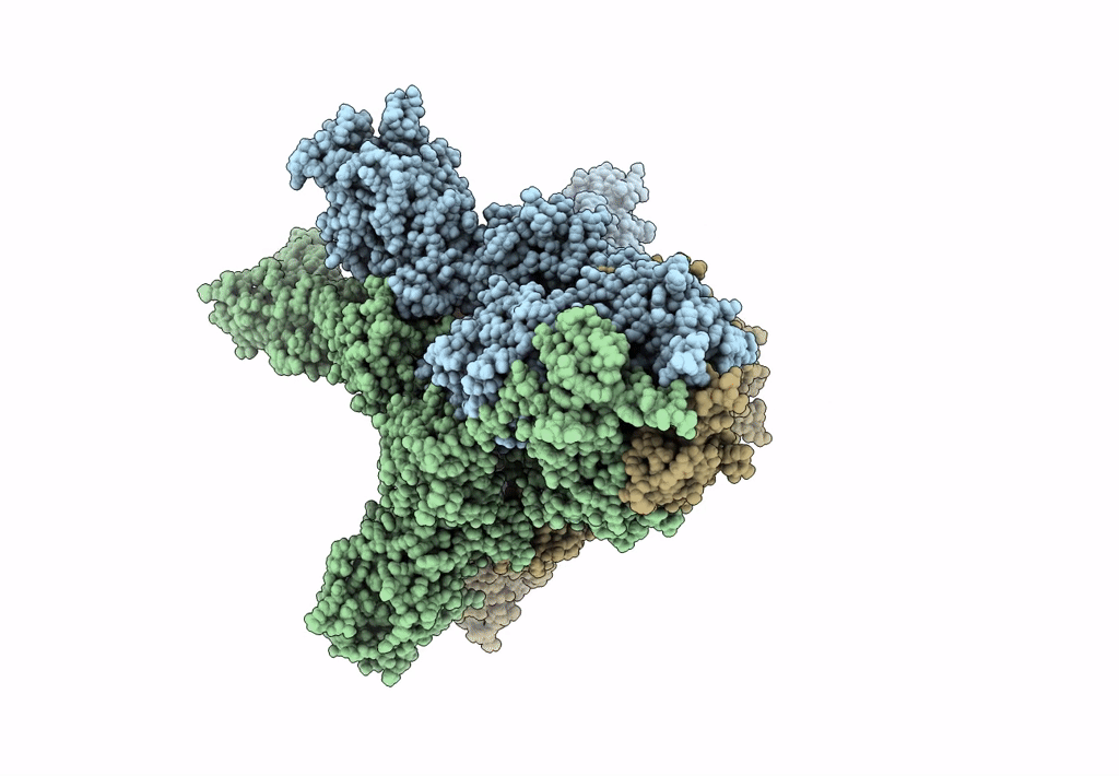 8CXQ image