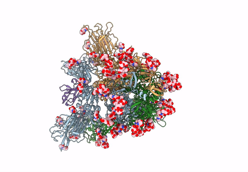 8CYB image