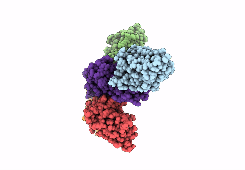 8CYJ image