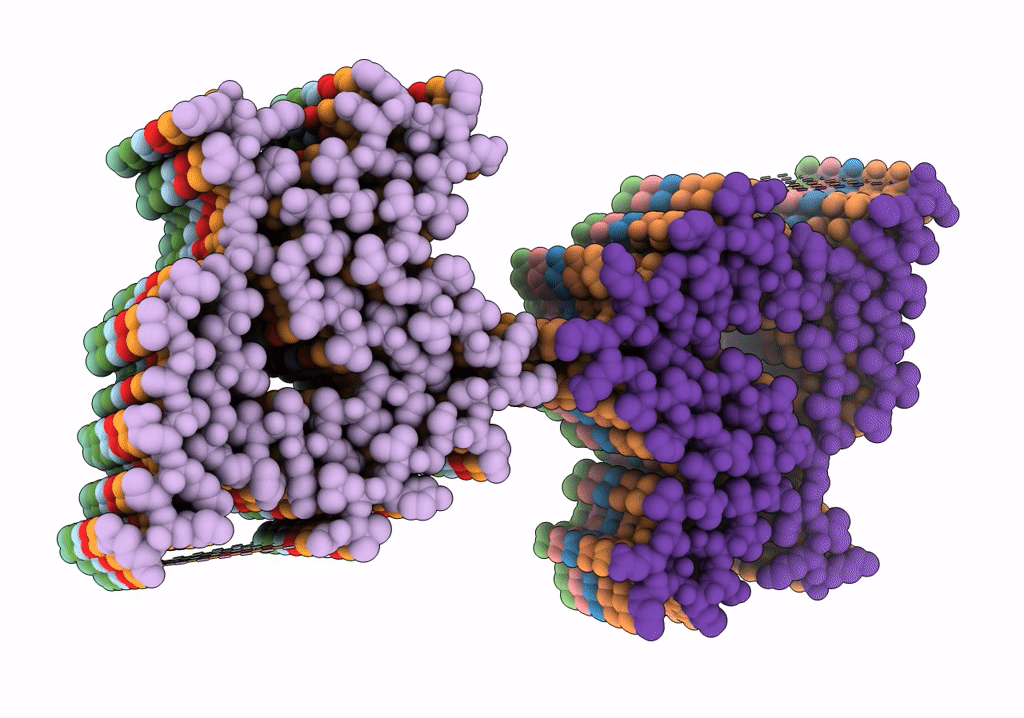 8CYR image