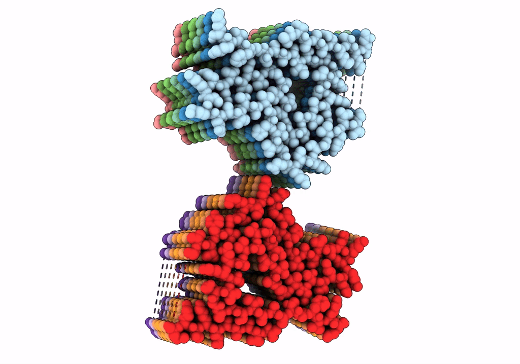 8CYV image