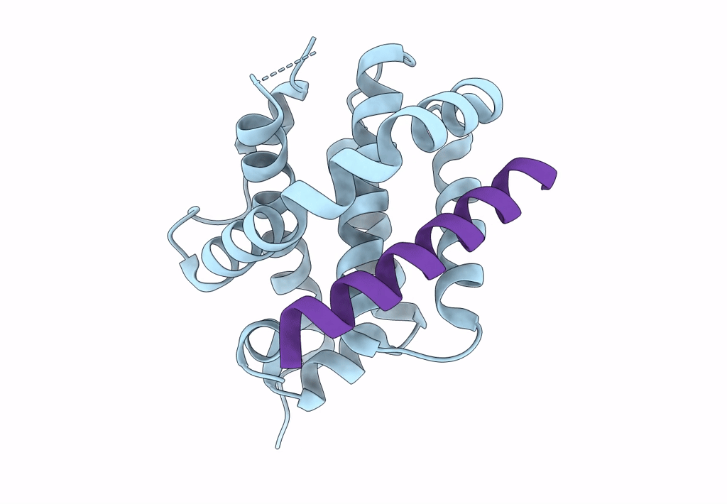 8CZH image