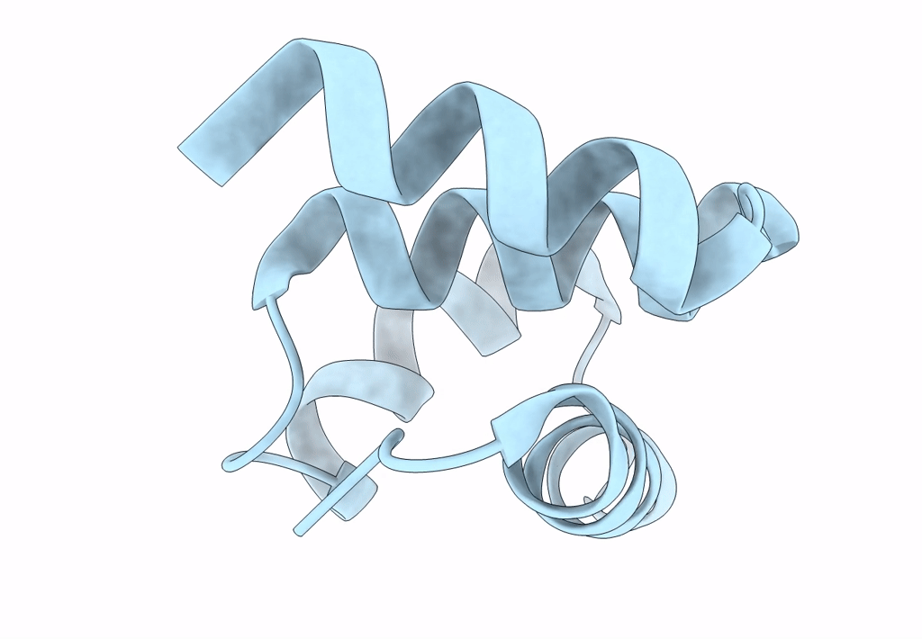8D03 image