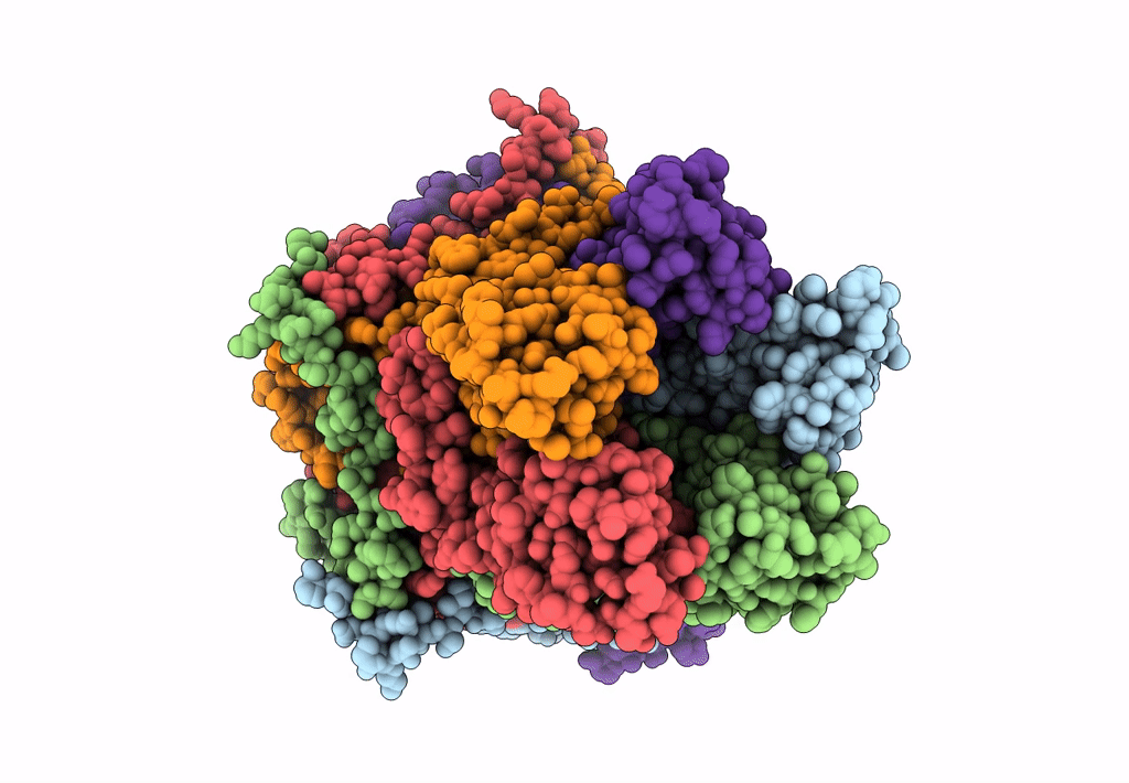 8D1M image