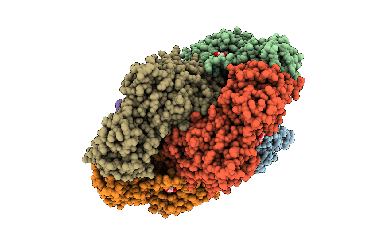 8D1X image