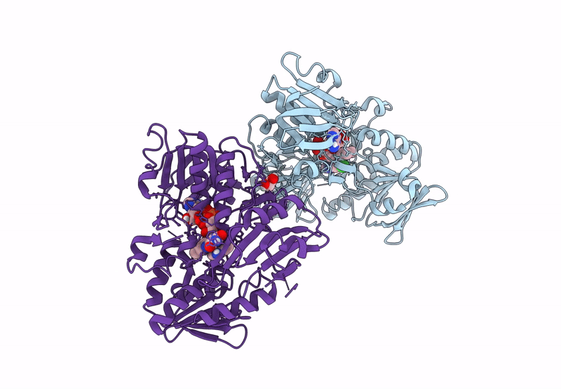 8D3H image