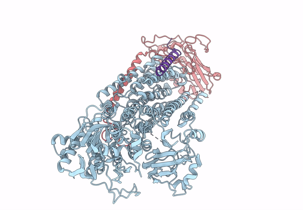 8D3V image
