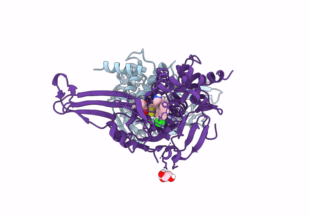 8D4Z image