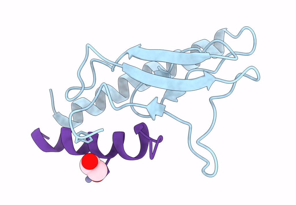 8D51 image