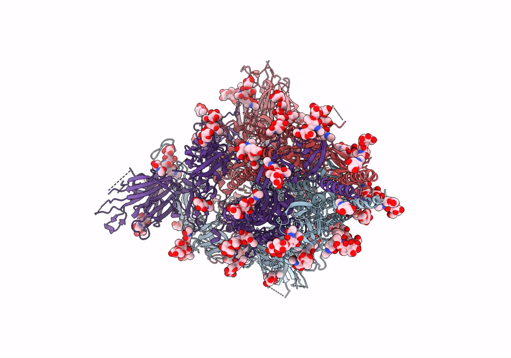 8D55 image