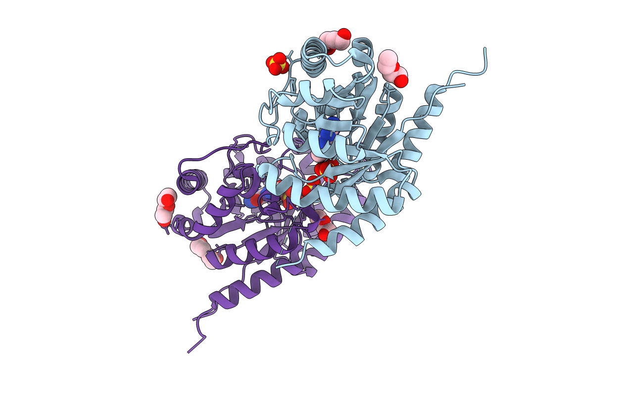 8D5H image
