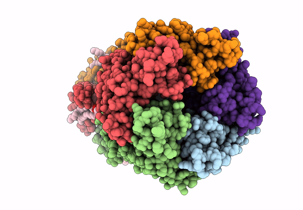 8D63 image