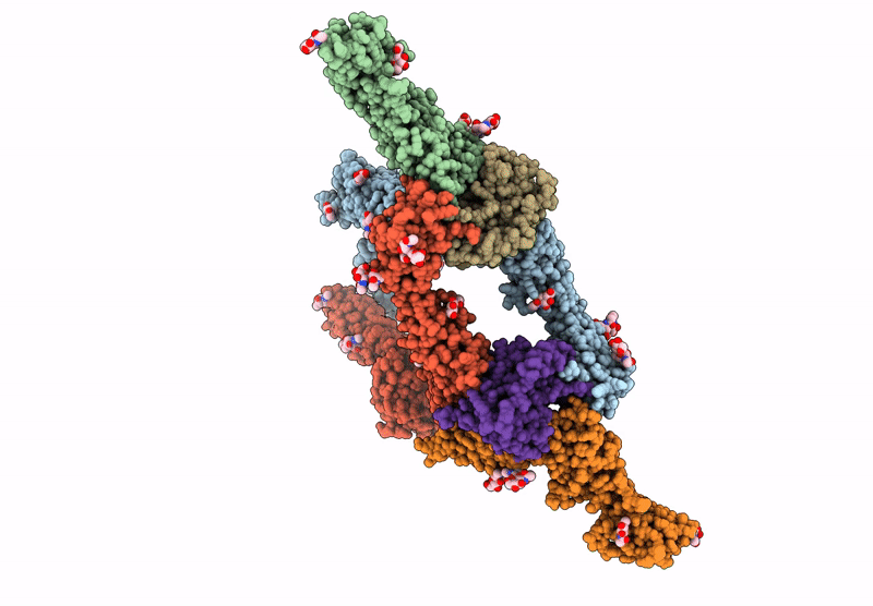 8D82 image