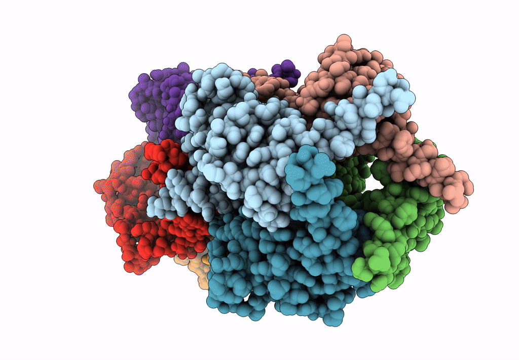 8D9X image