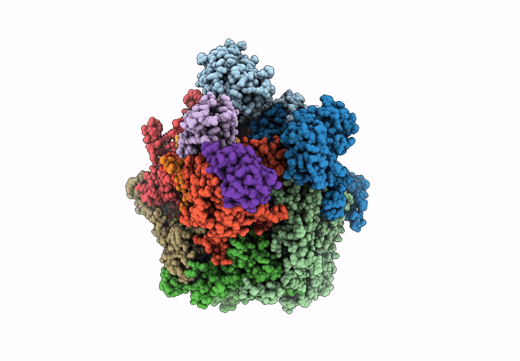 8DAV image