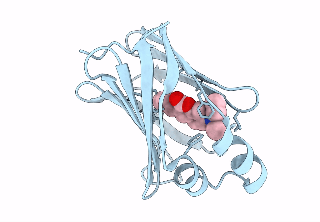 8DB2 image