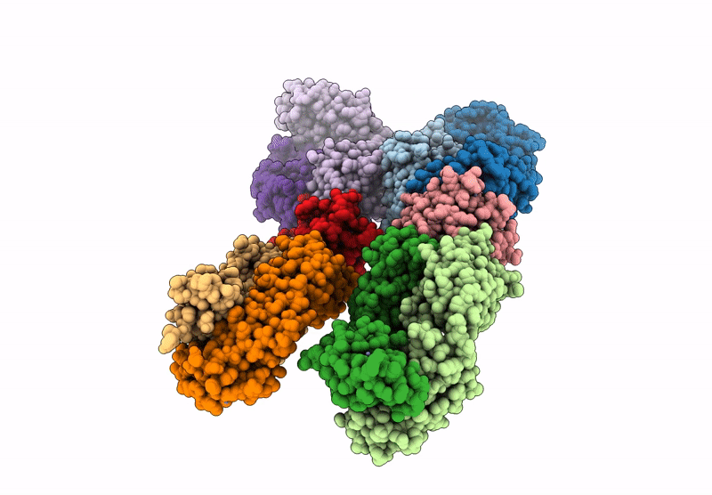 8DB4 image
