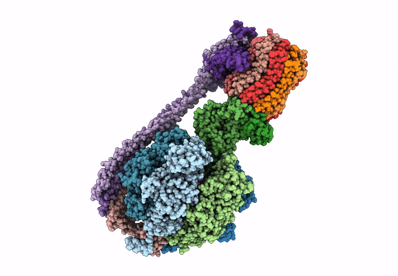 8DBT image