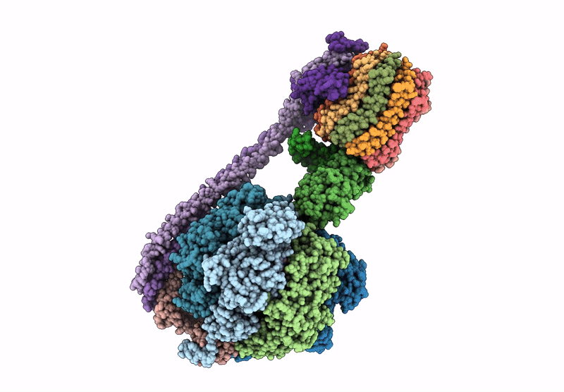 8DBV image