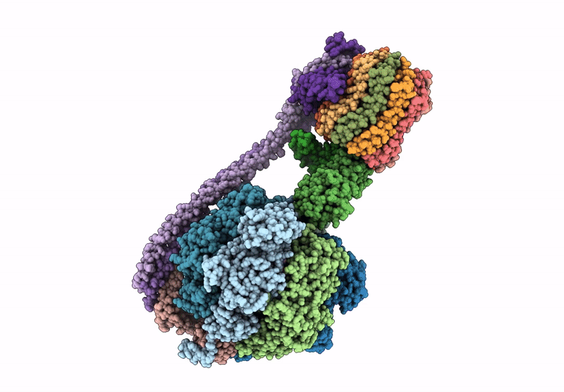 8DBW image
