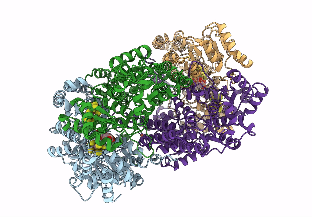 8DBX image