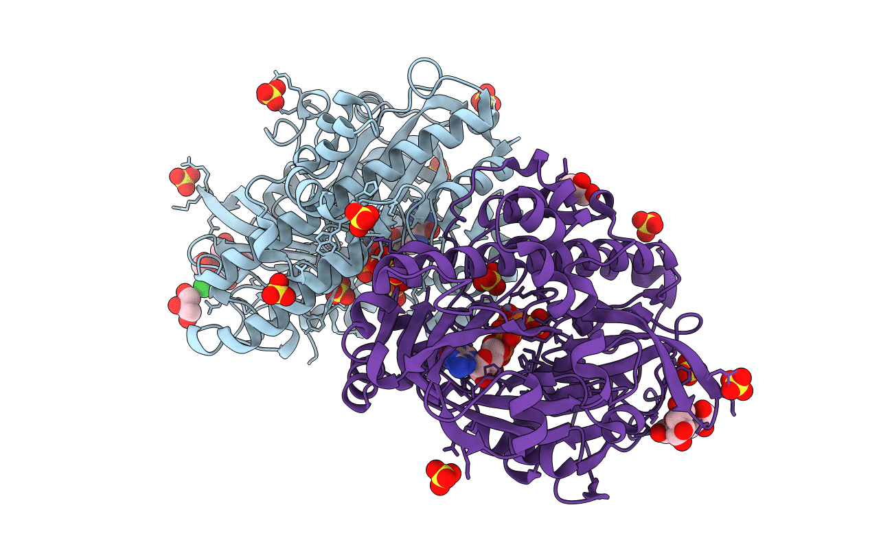 8DCD image