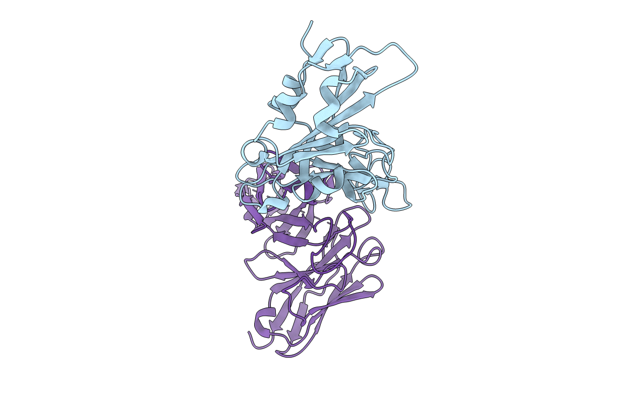 8DCE image