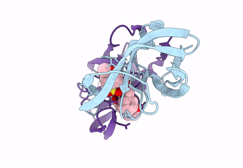 8DCH image