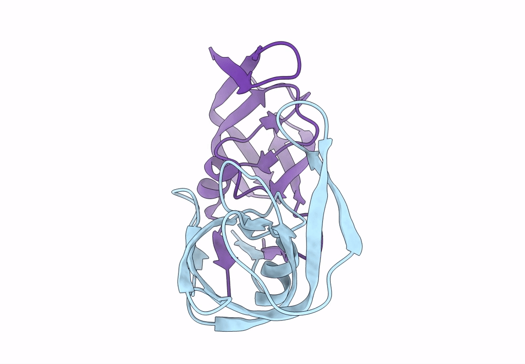 8DCI image