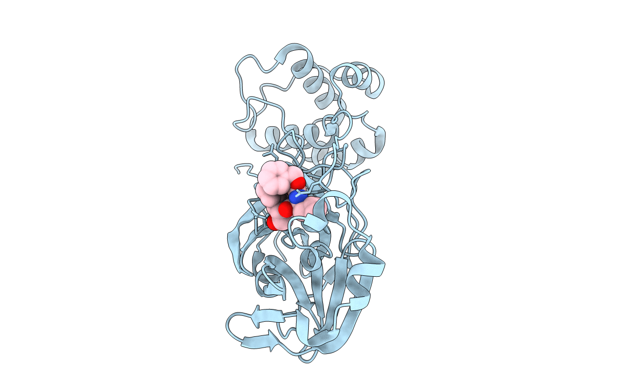 8DDM image