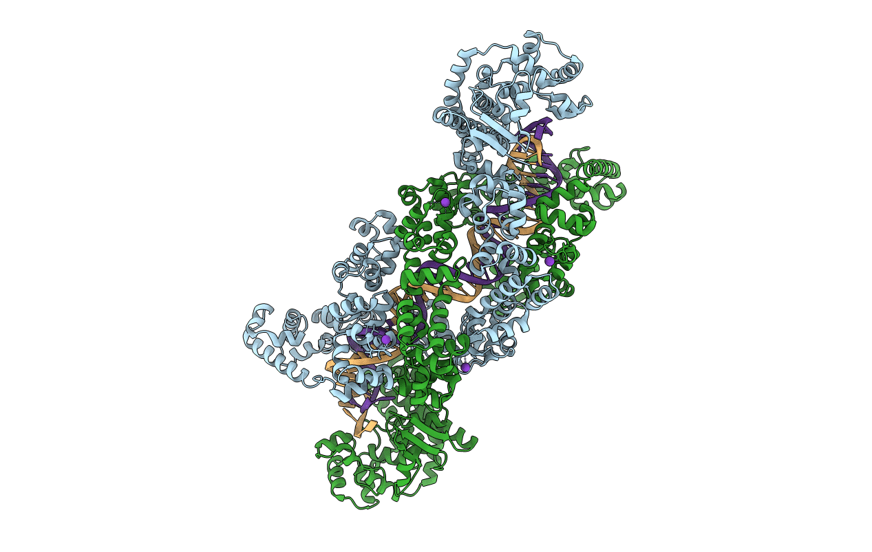 8DFB image