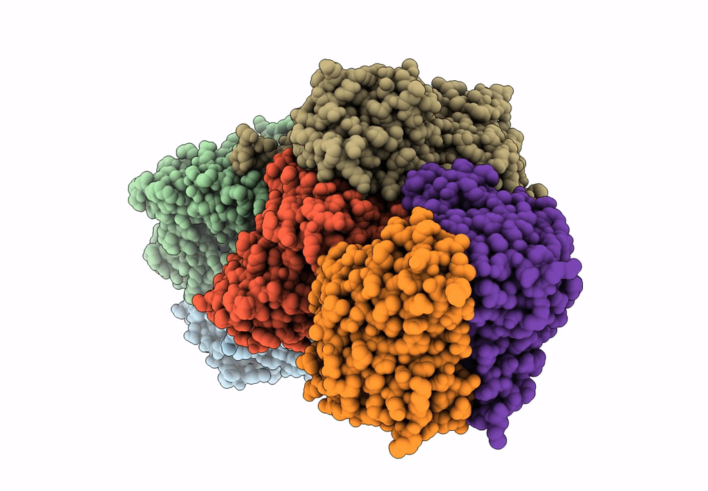 8DFC image