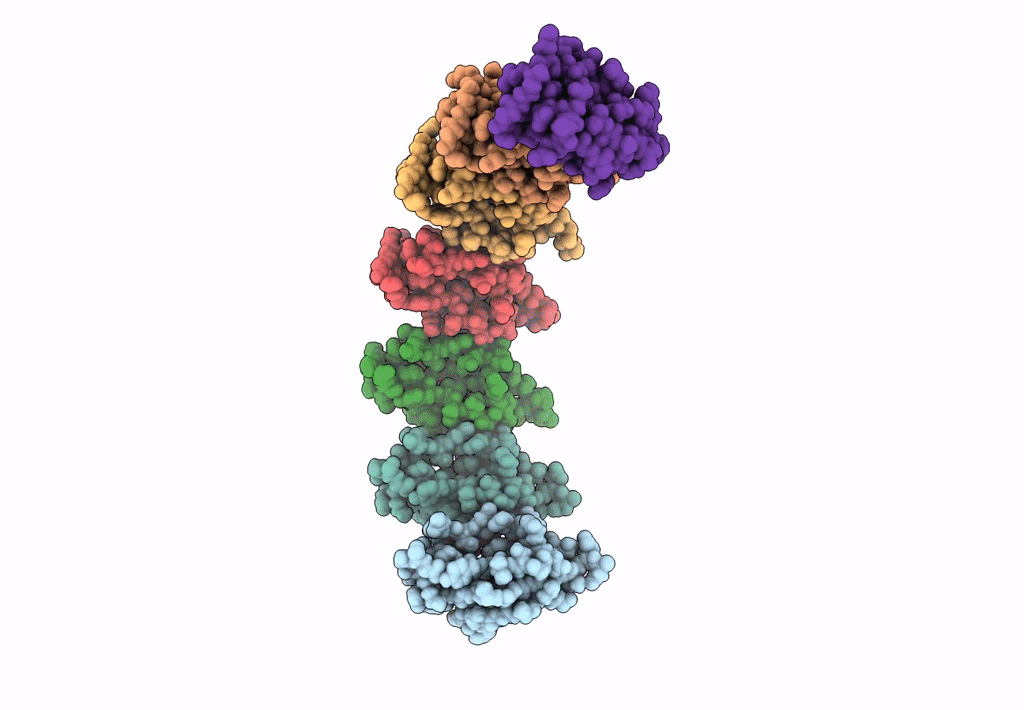 8DFK image