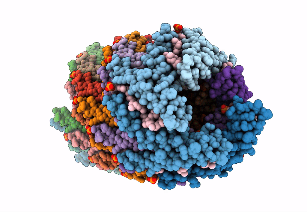8DFU image